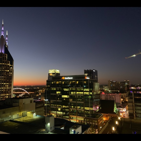 Meet your Posher, Lucy - Picture 1 of 1